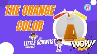 2 The Orange Color Experiment | How to make orange | Easy exciting experiment for kids | ToySavvy