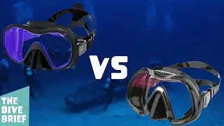 VX1 UV Mask Vs Venom Arc Mask | Dive Brief