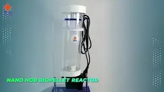 how to NANO HOB BIOPELLET REACTOR in 2022 from WAVEREEF manufacturer