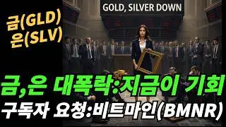 (금,은,비트마인) 지금 떨어질때 매수를 해야하나?