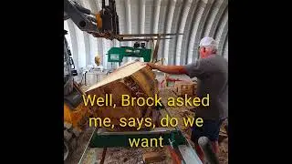 Turning a Giant Log on the Sawmill #sawmill