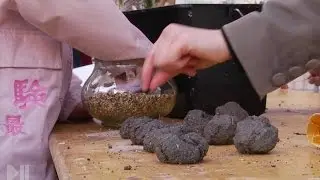 Strasbourg ça pousse !