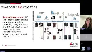 Delta Controls CE BLITZ BAS 101