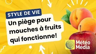 Un pi&egrave;ge pour mouches &agrave; fruits qui fonctionne! | Trucs et astuces