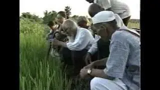 Natural Farm Method