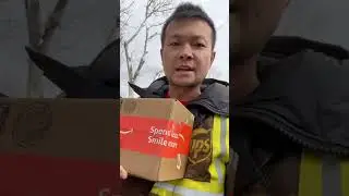 UPS Seasonal Helper