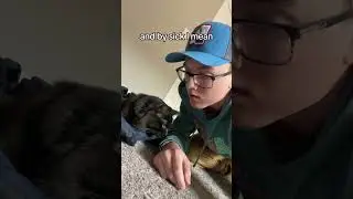 #cat #catdad #meme #catparent #catparenting
