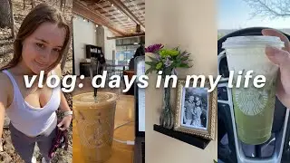 vlog: days in my life | lots of chats, grocery shopping, working out & trying new drinks (: