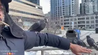 College Park downtown Toronto Canada 🇨🇦🇨🇦 (prt5)