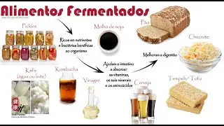 AULA 2 - MICRORGANISMOS DE IMPORTÂNCIA ALIMENTAR