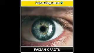 Top 5 Shocking 😱 Facts About Humans |Faizan K Facts #shorts