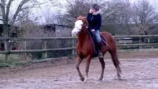 Ferme Equestre du Krouge