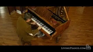 Ant. Nesmadba’s Sohn Art-Case Viennese Grand Piano for Sale – Best Pianos Online