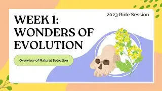 Wonders of Evolution - Natural Selection