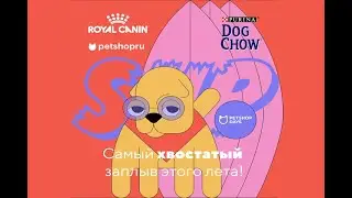 PetShopSUP-2020. Самый массовый заплыв на сапах с собаками в России!