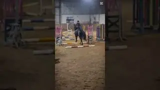 Drążki i Krzyżak 💗 Wcześniej skakaliśmy skok foula i skok wyskok 💗 #horse #horses #equestrian