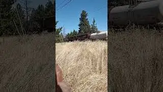 BNSF train in Oregon trunk subdivision