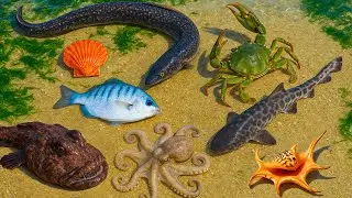 🌊 Поиски пищи в океане | 🐍 Угри, 🦈 Акулёнок, 🐚 Ракушки и 🐙 Осьминоги! И Крабы