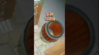 JOGO DE BOLA DO TIGRE ANTIGO #waterfall #ball #barrelracing #ballgame #shorts