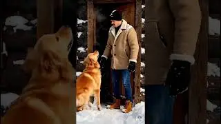 Instinct Said Run&hellip; But this Dog Didn&rsquo;t