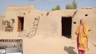 very beautiful and pure rural life in south Punjab Pakistan 2022