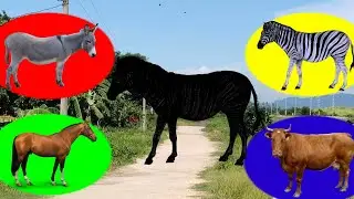 CUTE ANIMALS Cow, Zebra, Horse, Donkey | Animals Video | Guess Animals Video | Cow Video | #cow |