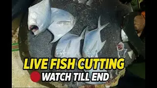 LIVE FISH CUTTING 🔪 |Fresh Pomfret Fish Cleaning ASMR | Fast & Satisfying Skills 😱 #asmr #fish #fish