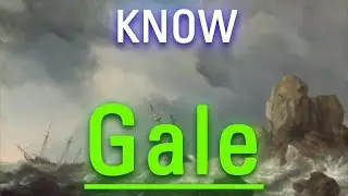 What is Gale? | How Does Gale Look? | How to Say Gale in English?