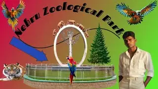 Animals ke Saath Full Masti 🐯 | Nehru Zoological Park Vlog