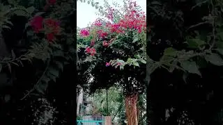 #capturedmoments 🙏