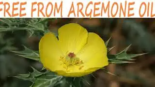 FREE FROM ARGEMONE OIL | COOKING OIL | S MISS