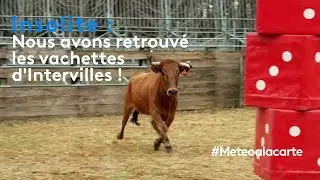Insolite : nous avons retrouvé les vachettes d'« Intervilles » !