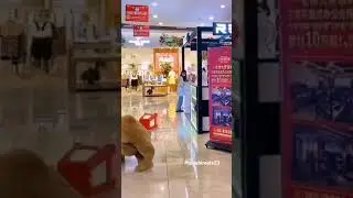 PRANK OF BHALU #parank,#shorts,#balu