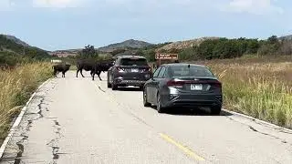 Wichita Mountains Wildlife Refuge in Oklahoma 