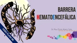 VideoFlash #8 - Barrera hematoencefálica