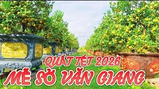 Làng Nghề “ QUẤT CẢNH VĂN GIANG HƯNG YÊN QUẤT ĐẸP BẤT NGỜ 