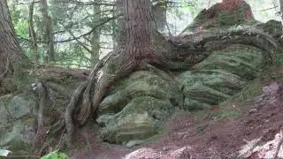 Pictured Rocks - Beaver Basin Wilderness Hike