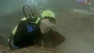 Busca pelo farol de Alexandria - Pt1
