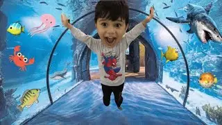 🔴 İZMİR WEST PARK AKVARYUM Balıkları görelim Kırmızı balık şarkısındaki gibi kırmızı balık var mı ?