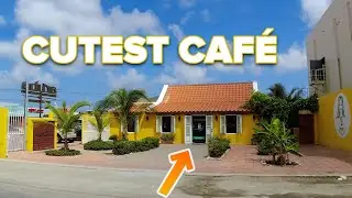 Aruba Experience Caf&eacute; & Patisserie | Great Vegan Menu 🥞| Food Vlog | ARUBA 🇦🇼🏝️