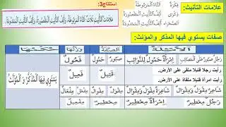 المذكر والمؤنث- صفات يستوي فيها المذكر والمؤنث -تمارين أطبق( مرشدي في اللغة العربية2إع) ص 217
