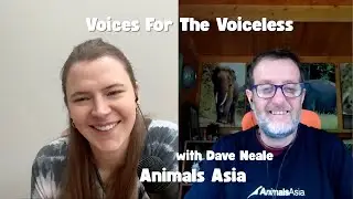 Dave Neale | Animals Asia | Voices for the Voiceless | Kelp Social | Podcast