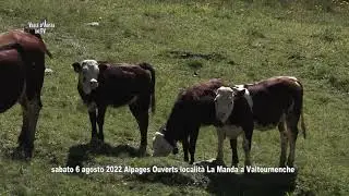 Valtournenche eventi estivi 2022