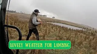 WINTER RAIN | New camera | Australian Sheep Farming