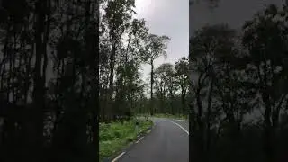 On the way to Sukhani,Ilam💚#viralroad#sukhani#khudunabari #nature