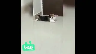 Ira playing with her toy when she was small🥰