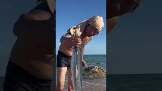 Camping alone as a shelter and hunting for food survive overnight on the pristine sea