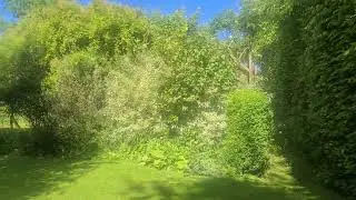 Wick House Farm, orchard and garden May 2022