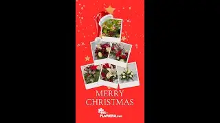 416-Flowers Christmas.mp4