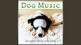 The Best Dog Music